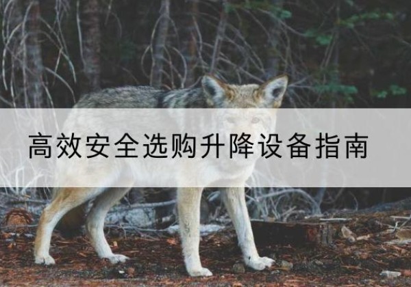 襄垣升降货梯厂家推荐-*安全选购升降设备指南