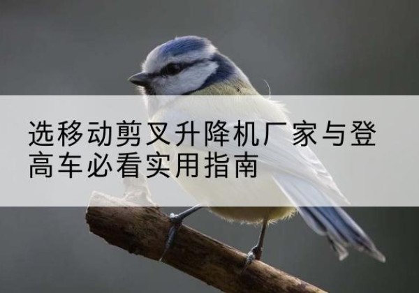 襄垣电动升降机厂家-选移动剪叉升降机厂家与登高车必看实用指南